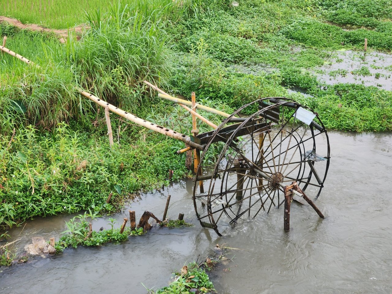 Cycling Through Bac Giang and Tuyen Quang: A Rural Adventure with Golden Cycling Tours